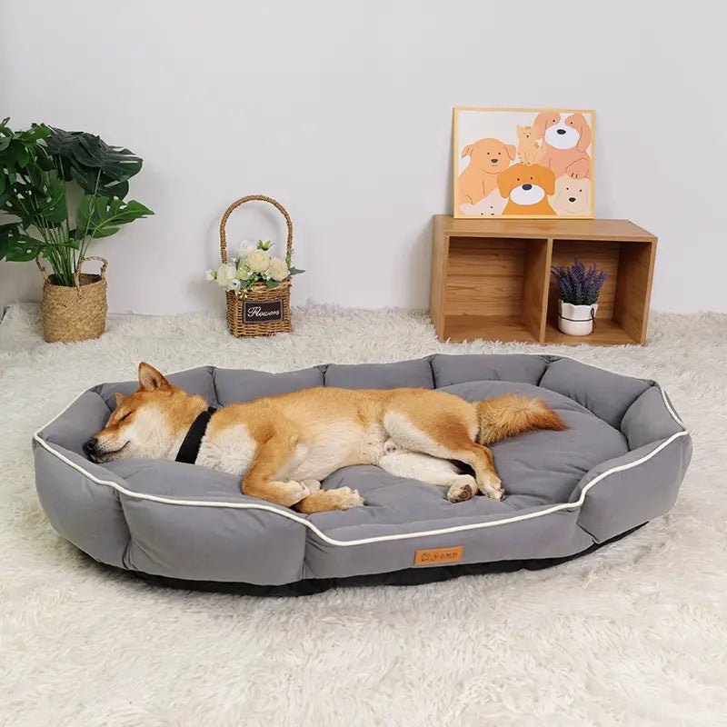 All-Season Anti-Slip Plush Dog Bed with Washable Luxury Pillow and Durable Base for Cats and Dogs